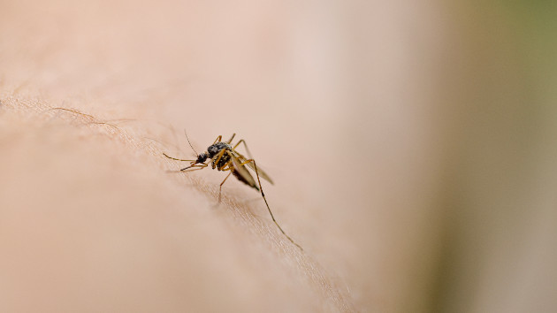 Health officials report three West Nile virus deaths; warn of mosquito-spread illnesses