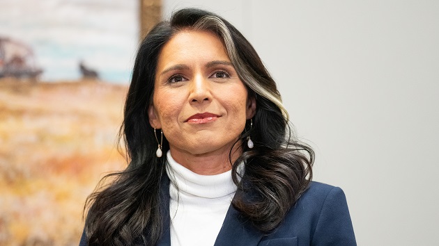 Tulsi Gabbard, Kash Patel and more Trump picks make the rounds on Capitol Hill