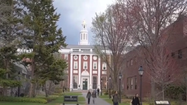 At least 350 Harvard medical grants were terminated by the Trump administration. Here are some of them