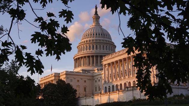Senate parliamentarian deals blow to Republicans over Medicaid provisions in Trump’s megabill